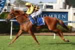 Stradbroke Handicap The Major Goal For Big Money