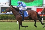 Jabali wins Randwick trial ahead of Todman Stakes