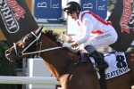 Beaten Up warming up for the Australian Cup in C.F. Orr Stakes