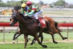 Barrier the Doubt for Filly in Tatt’s Tiara Barrier the Doubt for Filly in Tatt’s Tiara