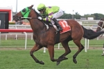 Kempelly Weetwood Handicap favourite after good barrier draw Kempelly Weetwood Handicap favourite after good barrier draw