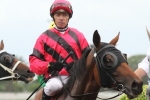 Addictive Habit To Press Forward In 2015 Doomben Cup Addictive Habit To Press Forward In 2015 Doomben Cup