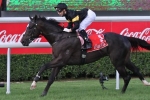 Better Than Ready Impresses at Flemington