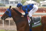 Buffering continues to please in lead up to Chairman’s Sprint Prize