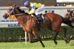 River Lad Vying for Stradbroke Start