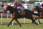 Heathcote Confident Excellantes Can Return To Winning Form In Ascot Handicap Heathcote Confident Excellantes Can Return To Winning Form In Ascot Handicap