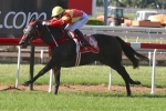 Cunningham opts for Lancaster Stakes start for Shinji Cunningham opts for Lancaster Stakes start for Shinji