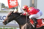 Risk Aversion Primed to Begin Tatt’s Tiara Campaign Risk Aversion Primed to Begin Tatt’s Tiara Campaign