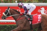 Weekend Lead-ups Could be Key to Queensland Derby