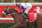 Bary heads to Melbourne for more Group 1 success Bary heads to Melbourne for more Group 1 success