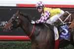 Rock Diva to back up in Queensland Derby, Purton to ride