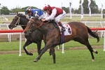 Detours off to stud after winning Bright Shadow Handicap