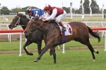 Detours off to stud after winning Bright Shadow Handicap Detours off to stud after winning Bright Shadow Handicap