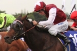 Galah breaks drought in QTC Cup Galah breaks drought in QTC Cup