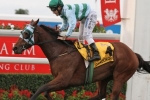 Carey Hoping For Improvement From 2014 Sydney Cup Duo
