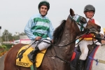 South Australian Derby 2015: Carey Fancies All I Survey’s Chances South Australian Derby 2015: Carey Fancies All I Survey’s Chances