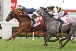 Quintessential Better Than Ever Heading Into Turnbull Stakes