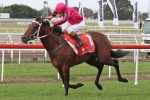 Sizzling To Be Strong Late In The Expressway Stakes