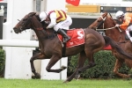 Pepperwood Wins Second Straight Coffs Harbour Gold Cup Pepperwood Wins Second Straight Coffs Harbour Gold Cup