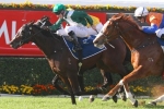 Almalad’s spot in the Golden Rose Stakes under review