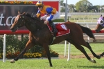 Wide Tattersall’s Tiara Barrier Draw Not A Concern For Platinum Rocker Wide Tattersall’s Tiara Barrier Draw Not A Concern For Platinum Rocker