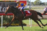 Wide Tattersall’s Tiara Barrier Draw Not A Concern For Platinum Rocker