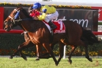 Stradbroke Handicap to Run at Doomben Racecourse