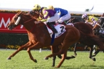 Melbourne Cup The Goal For Rock Diva