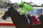 Transporter Returns To Winning Form In Strawberry Road Handicap Transporter Returns To Winning Form In Strawberry Road Handicap
