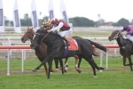 Miss Rose De Lago To Take On The Colts In The W.A. Guineas