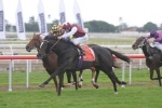 Miss Rose De Lago To Take On The Colts In The W.A. Guineas Miss Rose De Lago To Take On The Colts In The W.A. Guineas
