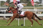 Hawkspur takes out Queensland Derby Hawkspur takes out Queensland Derby