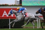 Linton A Happy Horse Before Hong Kong Mile Linton A Happy Horse Before Hong Kong Mile