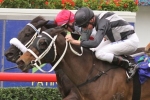 Back To Back wins for Red Tracer in Dane Ripper Stakes