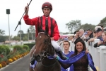 Romantic Touch all the way winner in J. J. Atkins Romantic Touch all the way winner in J. J. Atkins