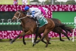Te Akau Shark short priced favourite for Australian debut in 2019 Tramway Stakes