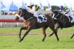 Moody Happy With P.B. Lawrence Stakes Runners Moody Happy With P.B. Lawrence Stakes Runners
