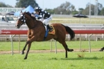 Solzhenitsyn In Prime Shape For Sebring Sprint Solzhenitsyn In Prime Shape For Sebring Sprint