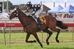 Solzhenitsyn Looking As Fit As Ever Before Sir Rupert Clarke Stakes