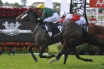 Benzini Outstays Rivals In Brisbane Cup Benzini Outstays Rivals In Brisbane Cup