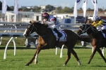 Queensland Derby winner Eagle Way to do future racing in Hong Kong Queensland Derby winner Eagle Way to do future racing in Hong Kong
