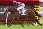 Queenslanders have mixed results with Villiers Stakes barrier draw