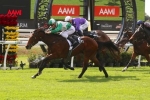 My Country Wins First Race On New Eagle Farm Track My Country Wins First Race On New Eagle Farm Track