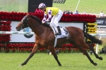 Sacred Elixir can earn a start in Cox Plate