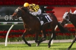 Spill The Beans Records Tough QTC Cup Win Spill The Beans Records Tough QTC Cup Win