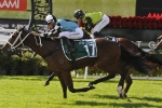 Tsaritsa going for fourth win on the trot in Daybreak Lover Tsaritsa going for fourth win on the trot in Daybreak Lover