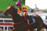 Architect heads Sunshine Coast Guineas nominations