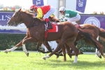 Schweida plans Sydney raid with Epic and Discreet Schweida plans Sydney raid with Epic and Discreet