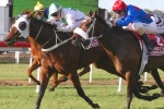 Wish Come True set for a light Spring Carnival campaign Wish Come True set for a light Spring Carnival campaign