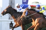 Howmuchdoyouloveme Too Strong in WJ Healy Stakes Howmuchdoyouloveme Too Strong in WJ Healy Stakes